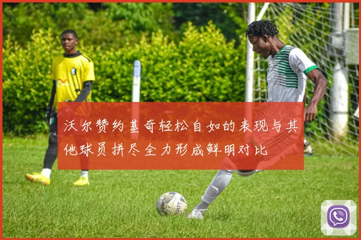 沃尔赞约基奇轻松自如的表现与其他球员拼尽全力形成鲜明对比