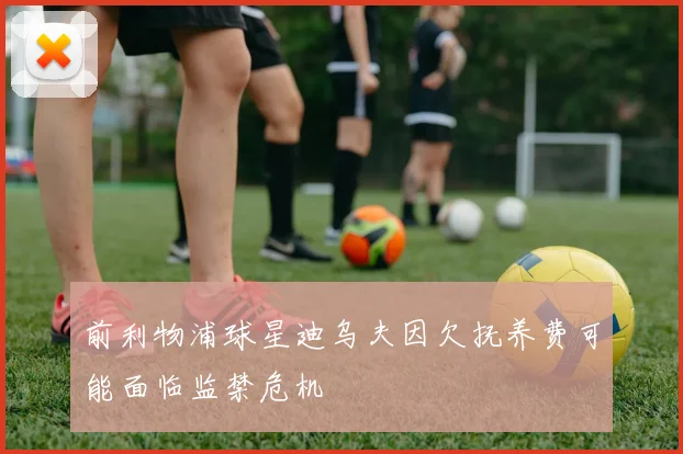 前利物浦球星迪乌夫因欠抚养费可能面临监禁危机