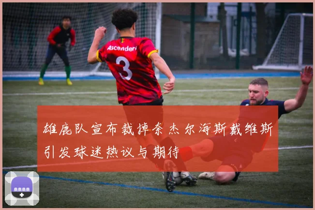 雄鹿队宣布裁掉奈杰尔海斯戴维斯引发球迷热议与期待